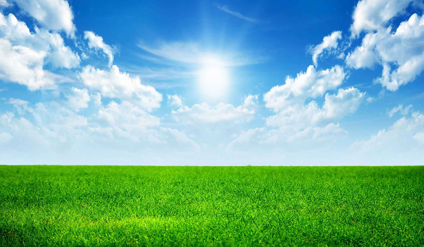 sky-grass-background-1400×816 | True Food For Life